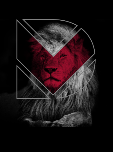 DV Design